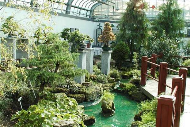 The Garden of Weedlessness is home to penjing Garden of Weedlessness