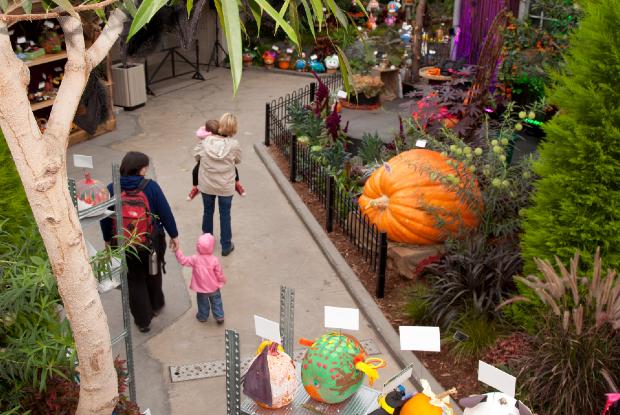Event at the Great Greenhouse