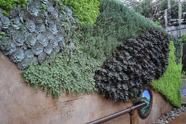 Plant wall at the Great Greenhouse