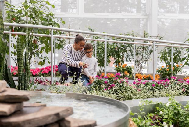 Le nouvel Insectarium : en symbiose avec la nature