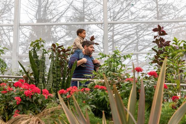 The new Insectarium: in symbiosis with nature