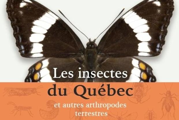 Couverture du livre d'Étienne Normandin sur les insectes