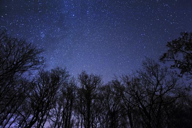 Star field