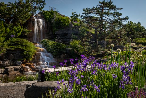 Jardin alpin du Jardin botanique de Montréal