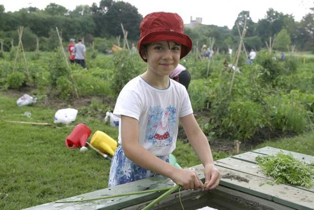 Youth Gardens