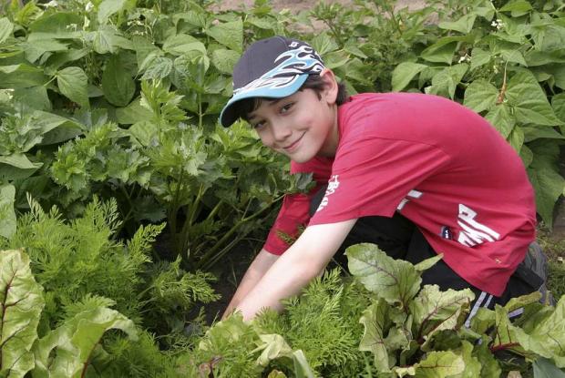 Youth Gardens