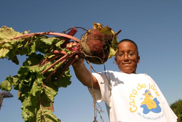 Youth Gardens