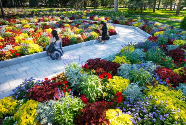 Jardins d'accueil - Vue générale