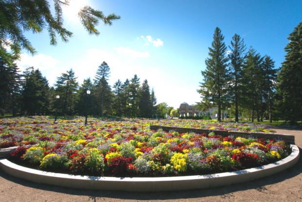 Jardins d'accueil - Vue générale