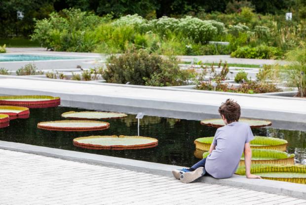 Le Jardin aquatique