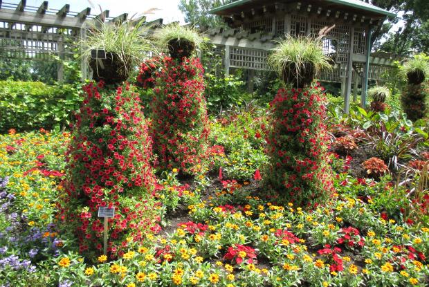 Jardin des nouveautés