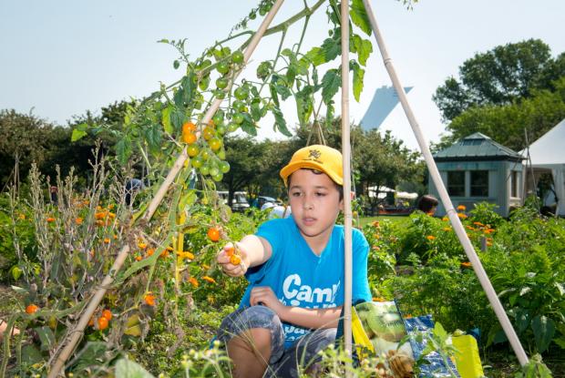 Youth Gardens 2013