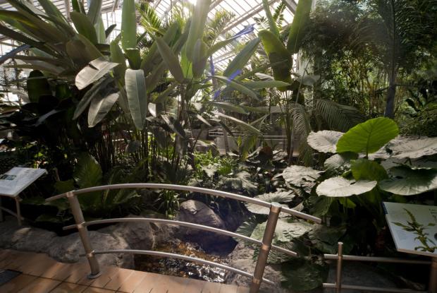 Molson hospitality greenhouse