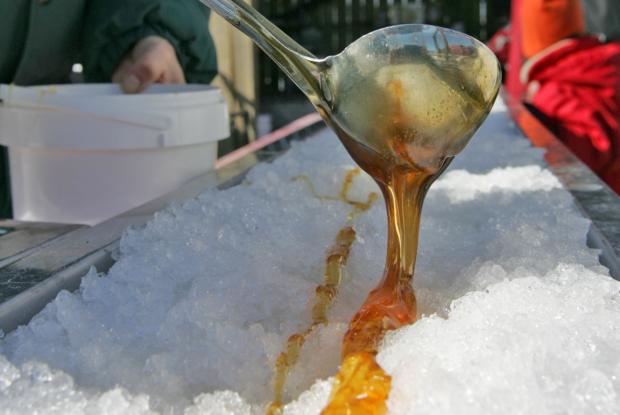Sugaring-off time at the Tree House Sugaring-Off Time