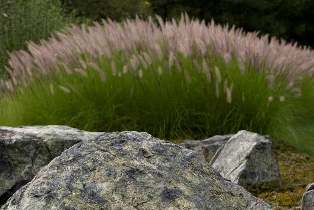 La pierre, un élément important d'un jardin japonais