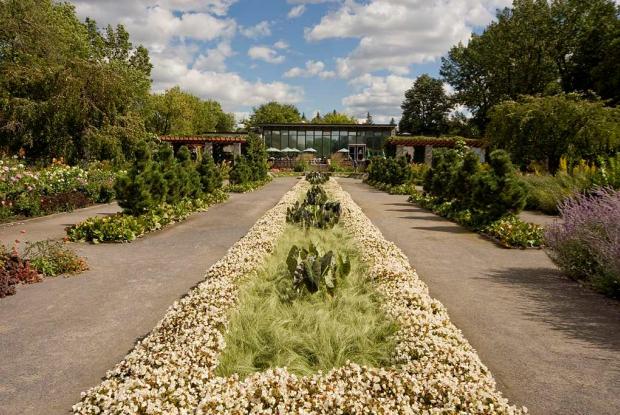 Jardin des vivaces