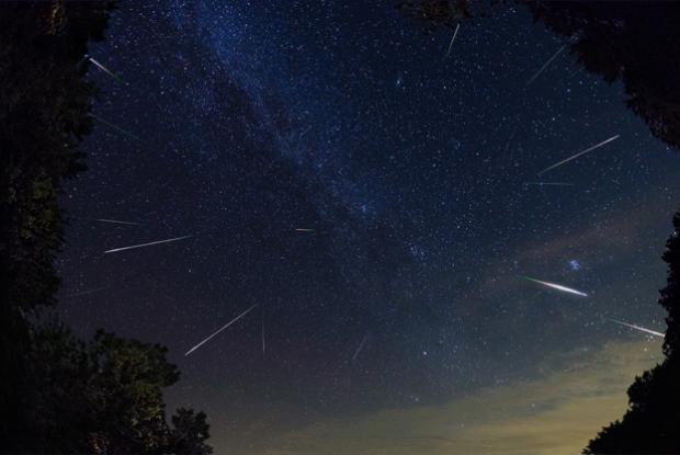 Observe the Perseid meteor shower from the Jardin botanique