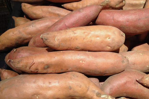 Patate douce