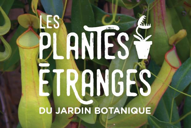 Les plantes étranges du Jardin botanique