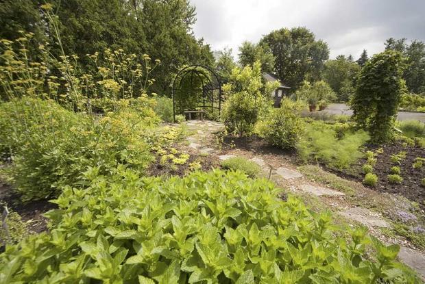 Potager ornemental