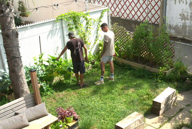 Potagers du monde - Épisode 4