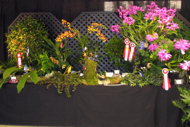 Botanical Garden display stand