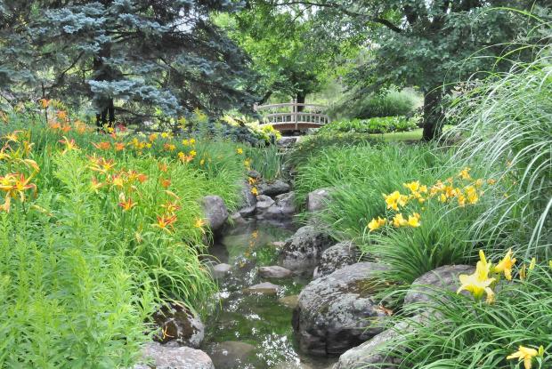 A small rustic bridge and flowers at the Flowery Brook. 