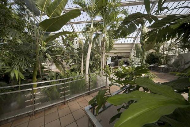 Molson Hospitality Greenhouse Molson Hospitality Greenhouse