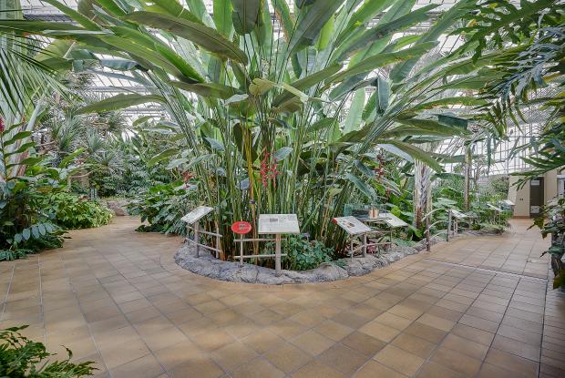 Jardin botanique - Serre d'accueil