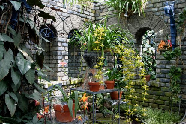 Orchids and Aroids Conservatory.