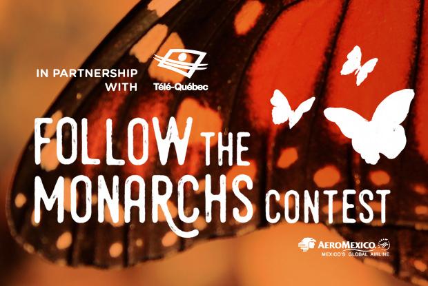 Follow the Monarchs! Contest