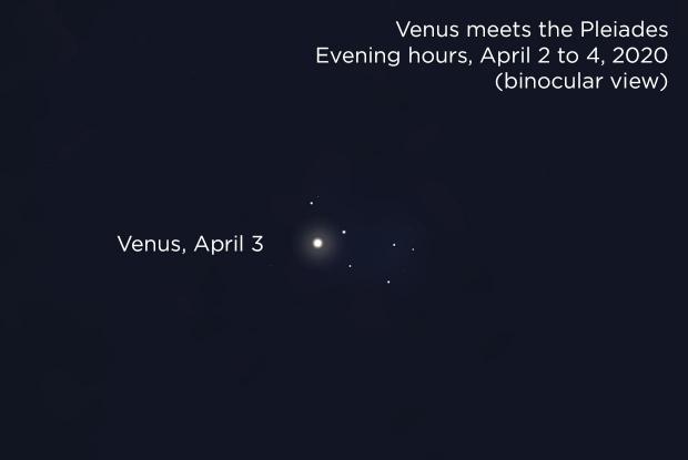 Venus meets the Pleiades, April 3, 2020