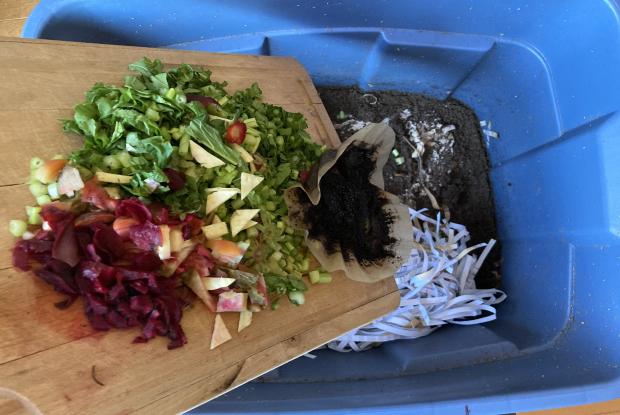 Worm composting