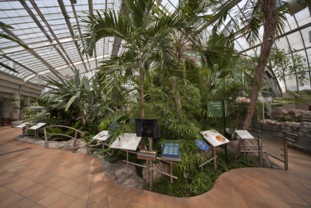 The Molson Hospitality Greenhouse presents to visitors basic concepts in plant biology.
