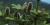 Abies balsamea