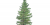 Abies balsamea
