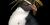 Rockhopper penguin (Eudyptes moseleyi).