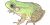 Lithobates clamitans