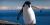 Chinstrap penguin near a shore