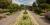 Jardin des vivaces
