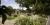 Monastery Garden