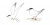 Sterna hirundo