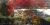 Toxicodendron vernix