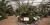 The Molson Hospitality Greenhouse displays large specimens from the Monocotyledon botanical group.