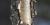 Yellow birch bark