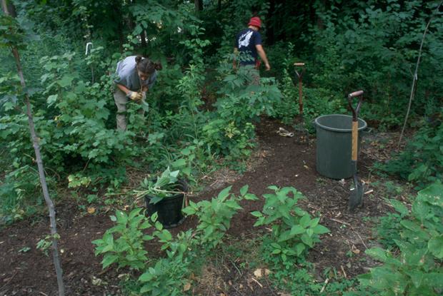 Construction of the First Nations Garden