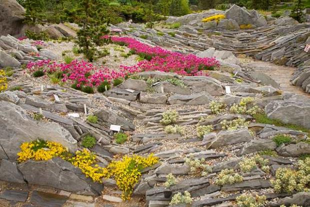 Jardin de crevasses.