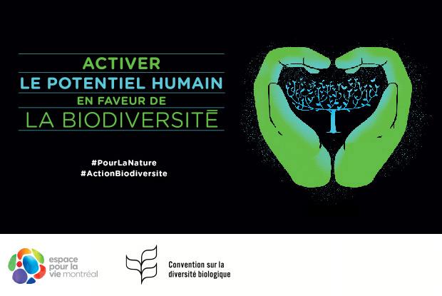 Activer le potentiel humain en faveur de la biodiversité