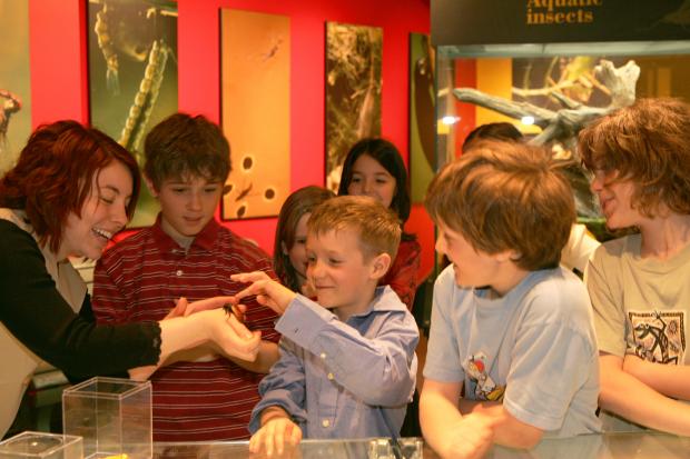 School activity at the Insectarium in 2005.