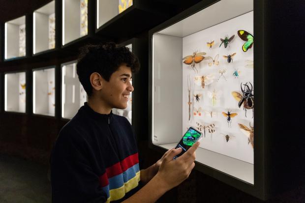 Un jeune visiteur utilise l'application mobile de l'Insectarium.